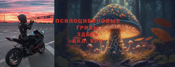 ешки Алексеевка