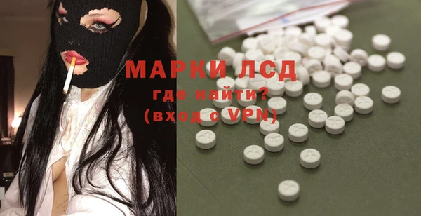 индика Арсеньев