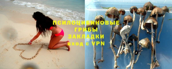 винт Алексин